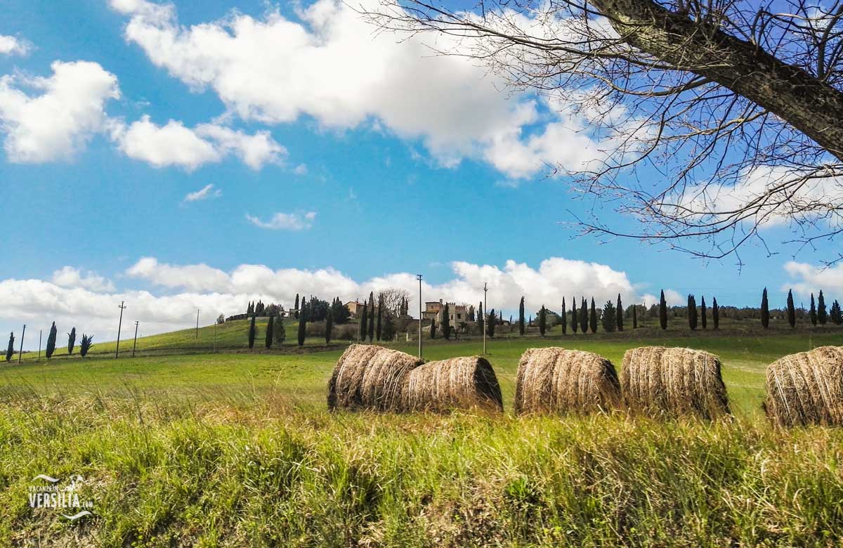 Volterra